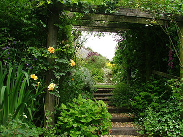 garden door/archway with steps