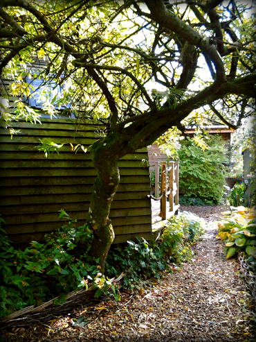 The Waterhouse - Willow Garden