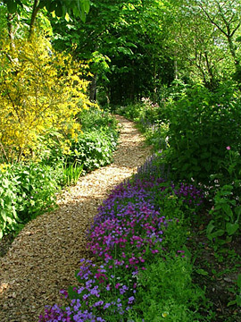 Path around the water