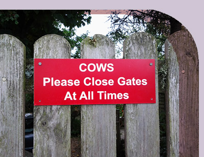 red sign reads, 'COWS - please close gates at all times'