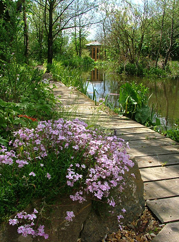 An area of garden beside water