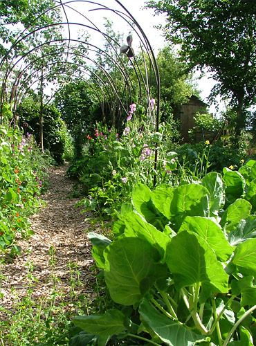 An area of garden with archway